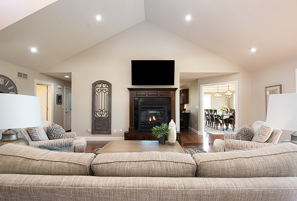living room fireplace website