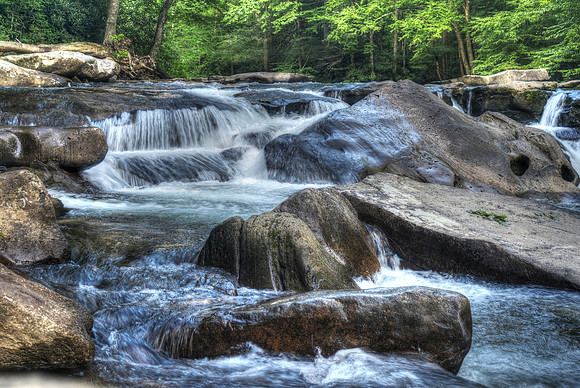 back ElkDSC_4704_7_Painterly