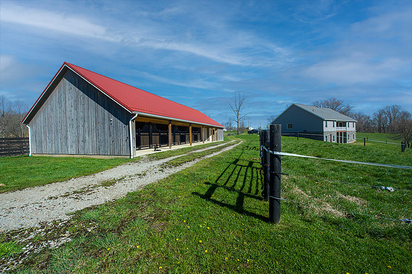 horse and house pic
