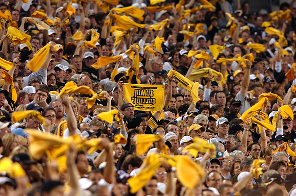Terrible towel